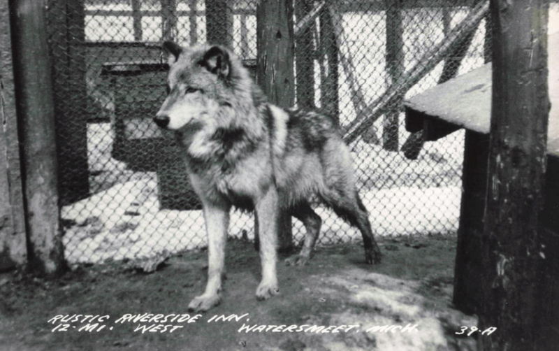 Rustic Riverside Inn - Vintage Postcard (newer photo)